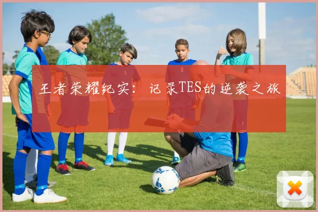 王者荣耀纪实：记录TES的逆袭之旅