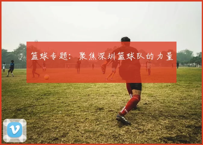 篮球专题：聚焦深圳篮球队的力量