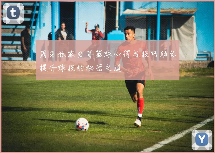 周芳独家分享篮球心得与技巧助你提升球技的秘密之道