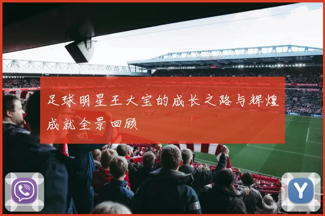 足球明星王大宝的成长之路与辉煌成就全景回顾