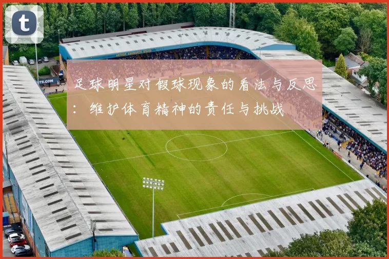 足球明星对假球现象的看法与反思：维护体育精神的责任与挑战