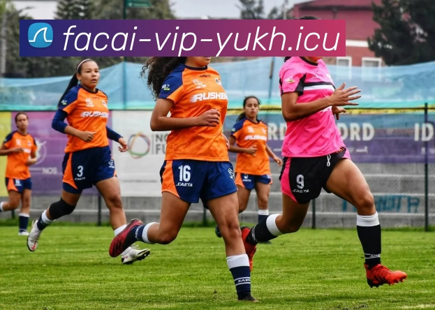 开云体育注册平台生态图