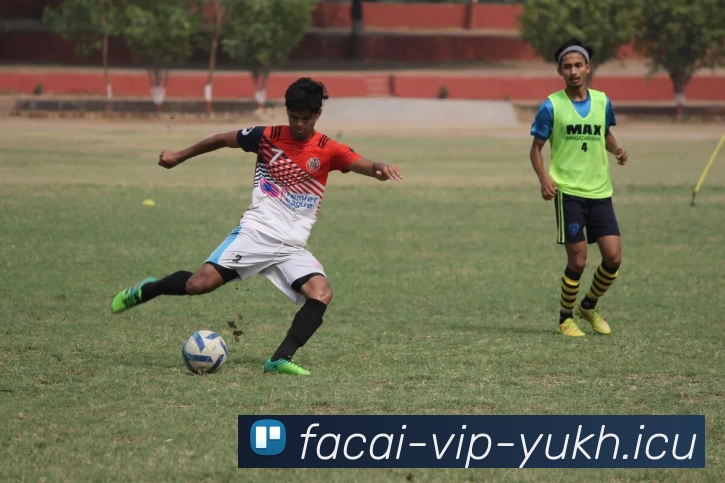 开云体育注册APP 封面图